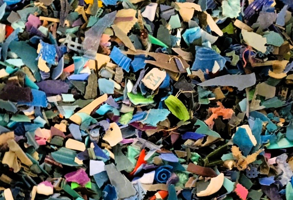 WhatsApp Image 2024-06-08 at 11.58.43 AM